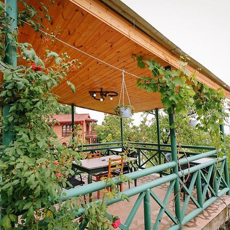 Guest House Evdoshvili St N5 シグナギ エクステリア 写真