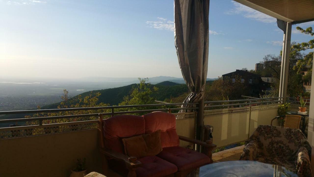 Guest House Evdoshvili St N5 シグナギ エクステリア 写真